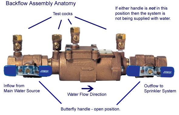 Anatomy of a Backflow Assembly